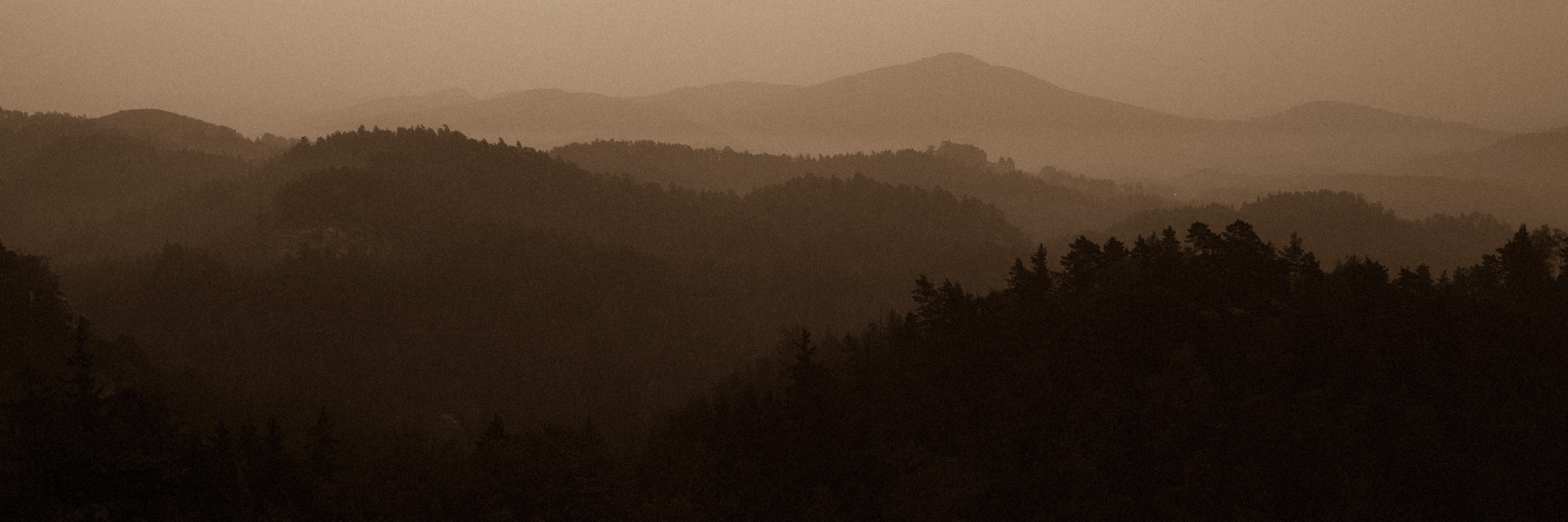 메인 배너 슬라이드