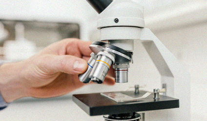 DNA 염색체 연구